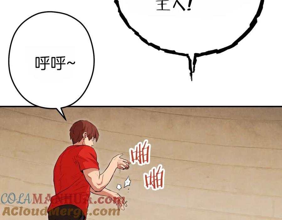 第181页