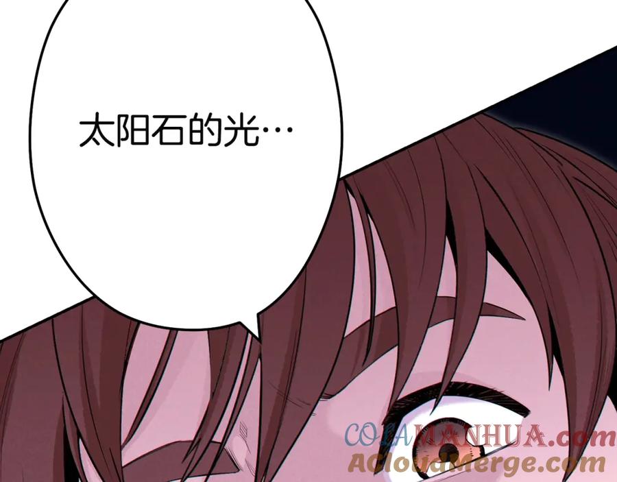第221页