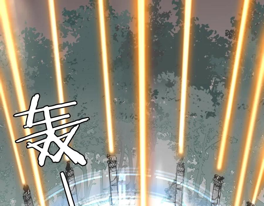 第219页