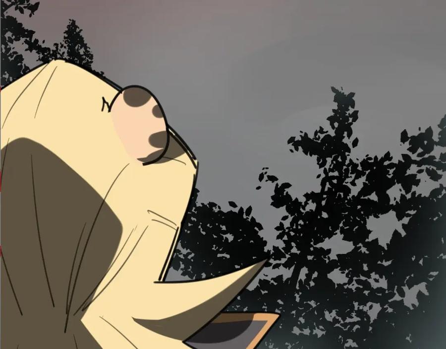 第214页