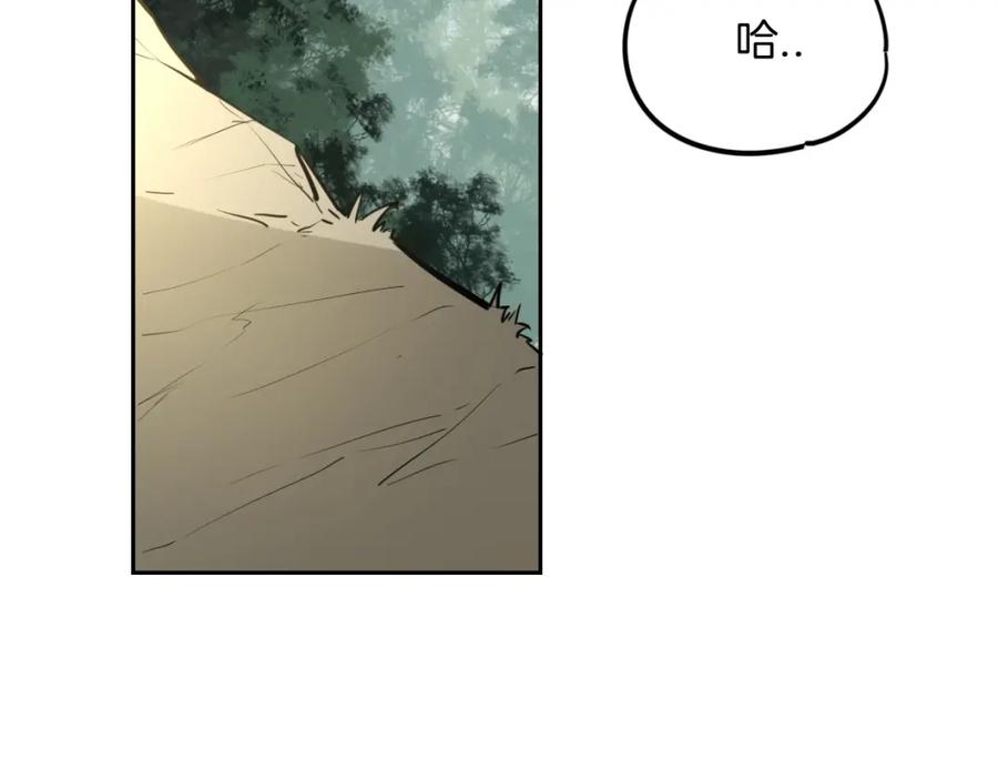 第254页