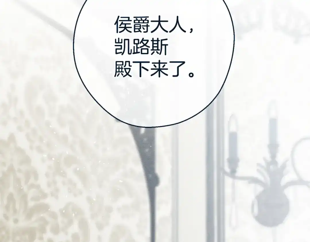 第206页