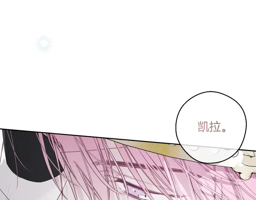第537页