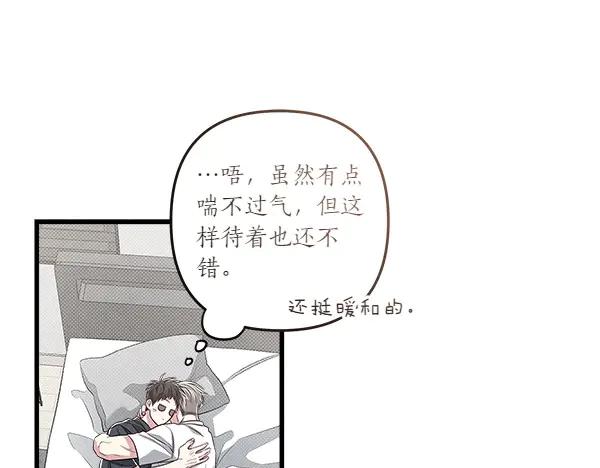 第185页