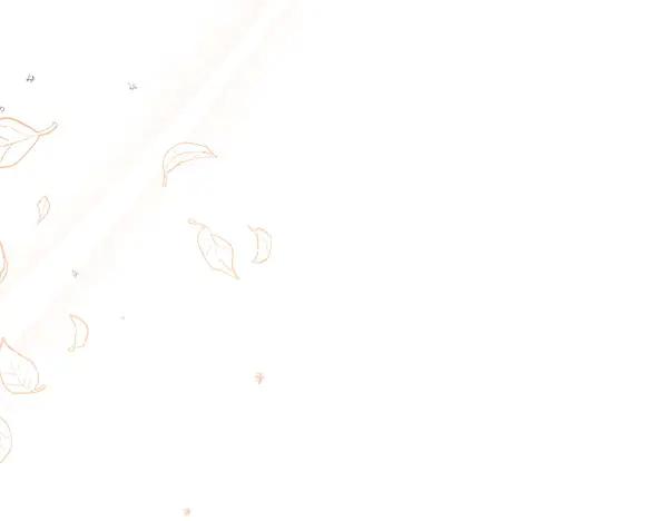 第204页