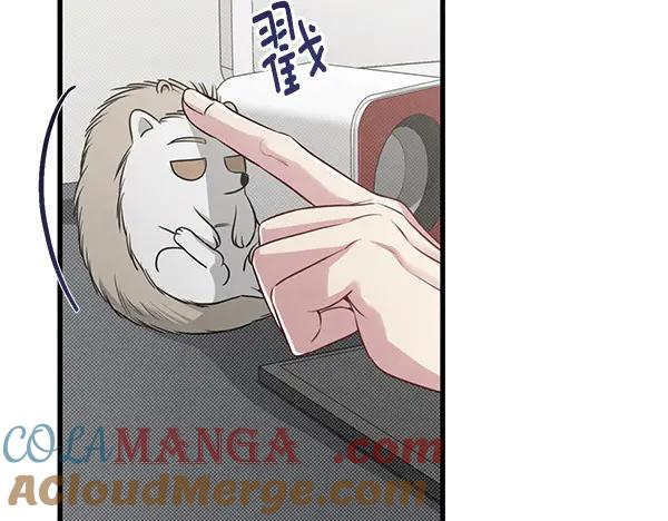 第193页