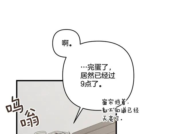 第223页