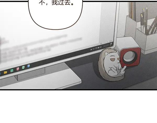 第235页