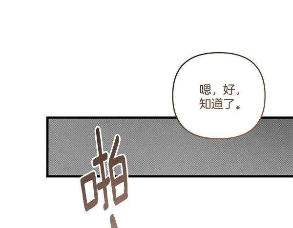 第236页