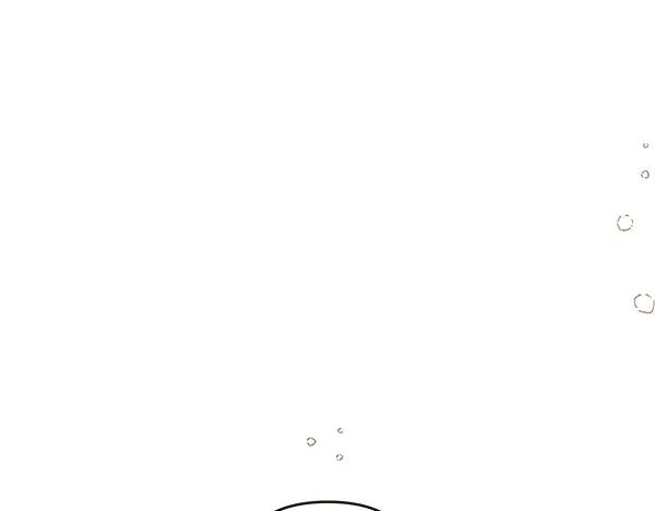 第238页