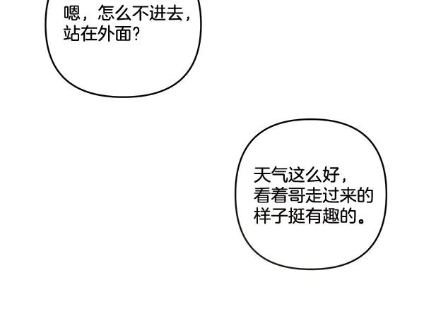第243页