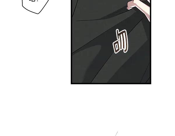 第223页
