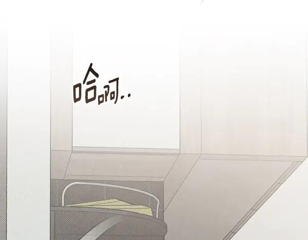 第224页