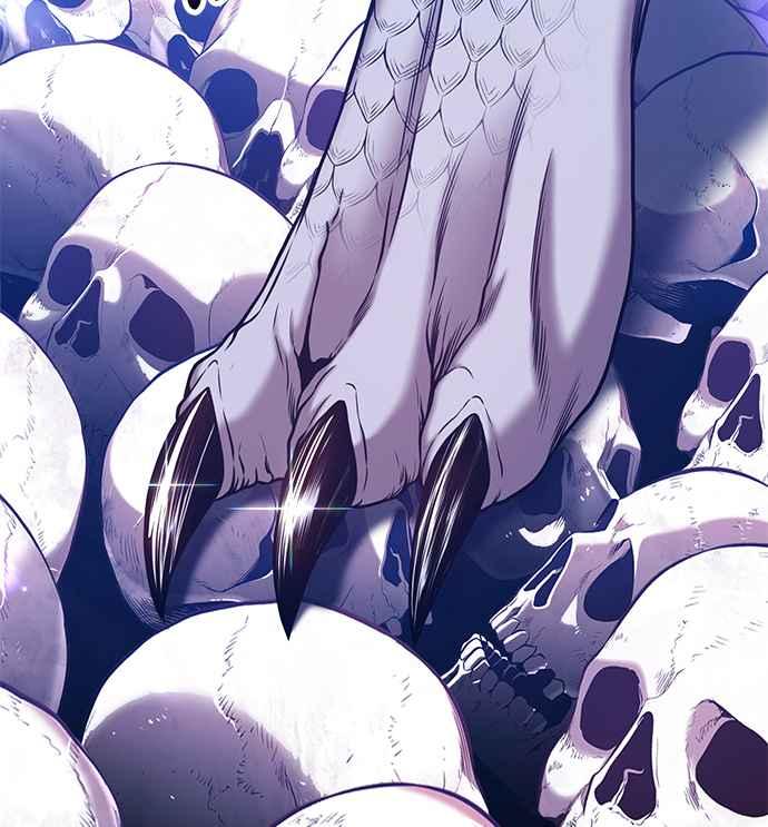 第244页