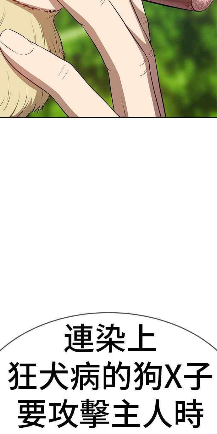 第251页