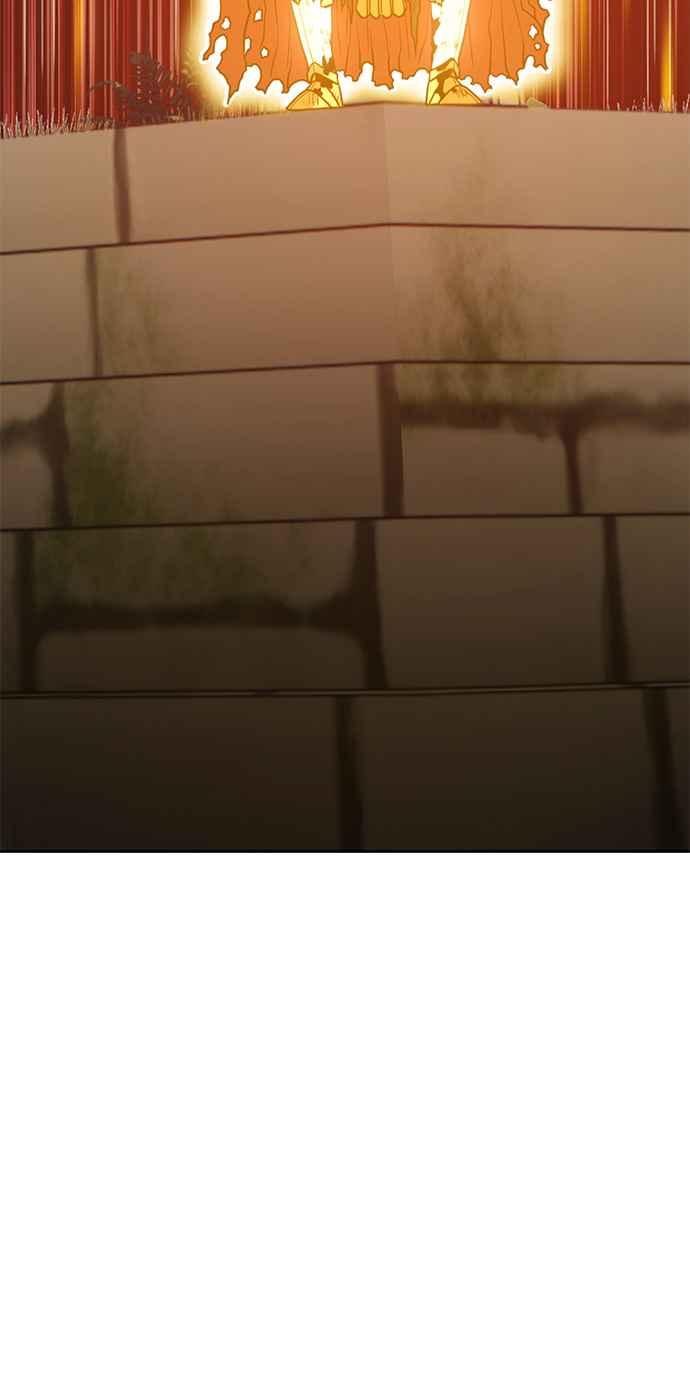 第224页