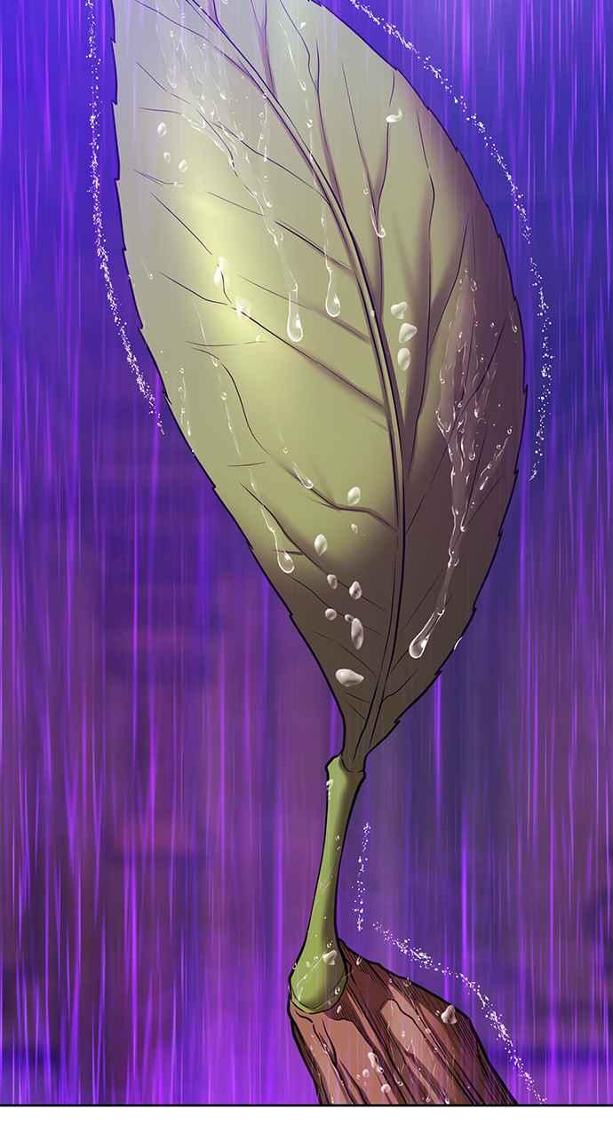 第291页