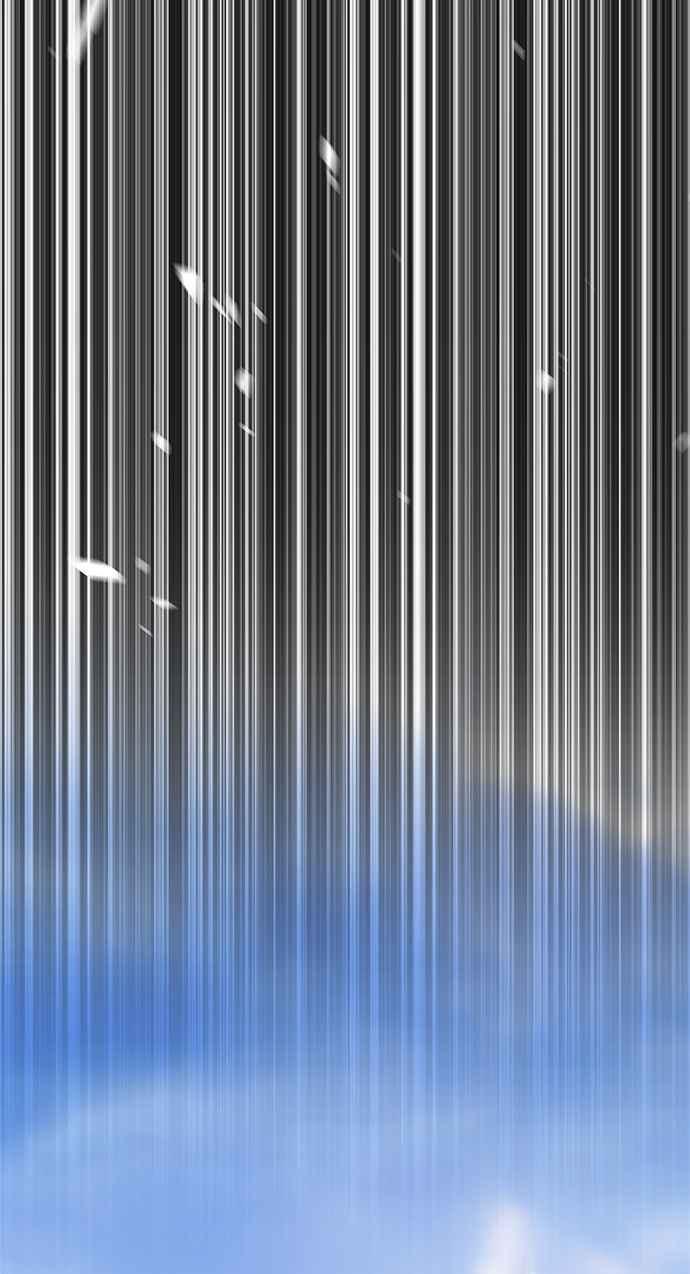 第262页