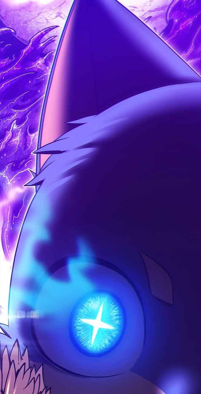 第206页
