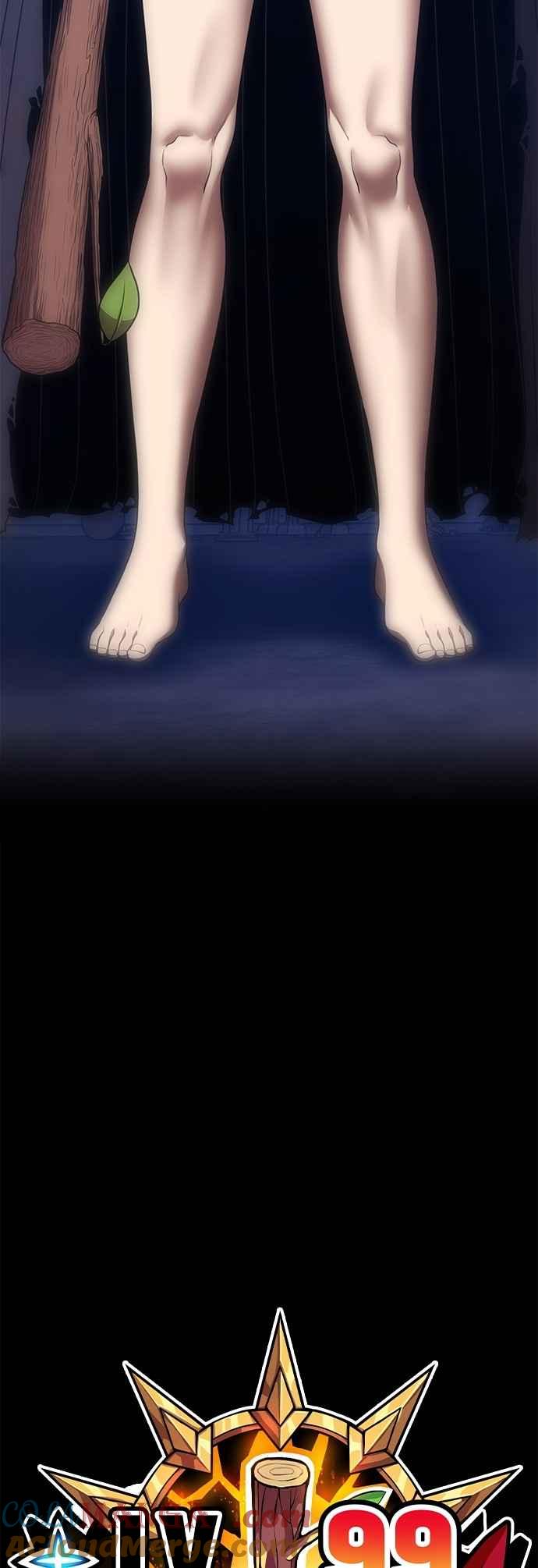 第213页