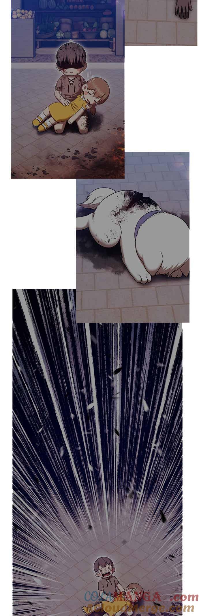 第221页