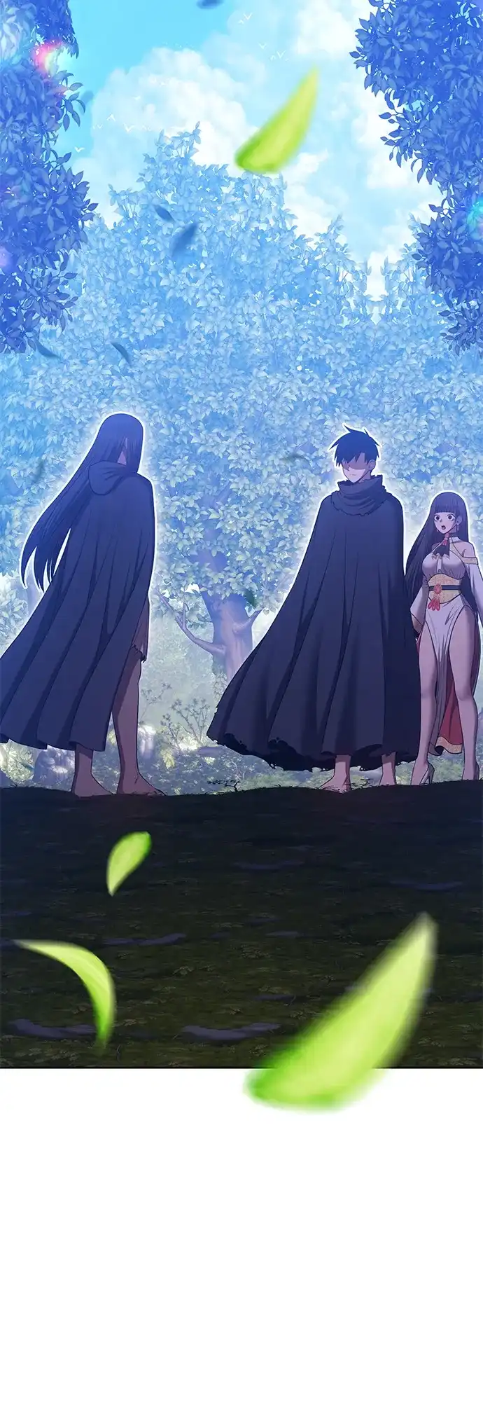 第204页