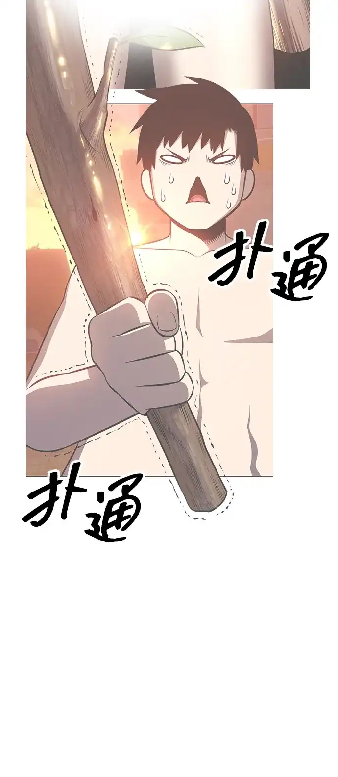 第243页