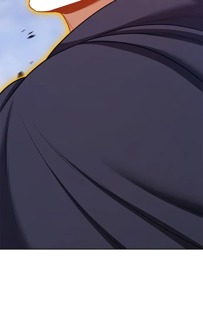第325页