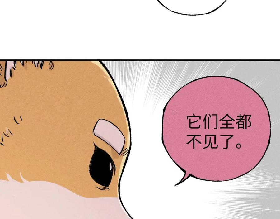 第223页