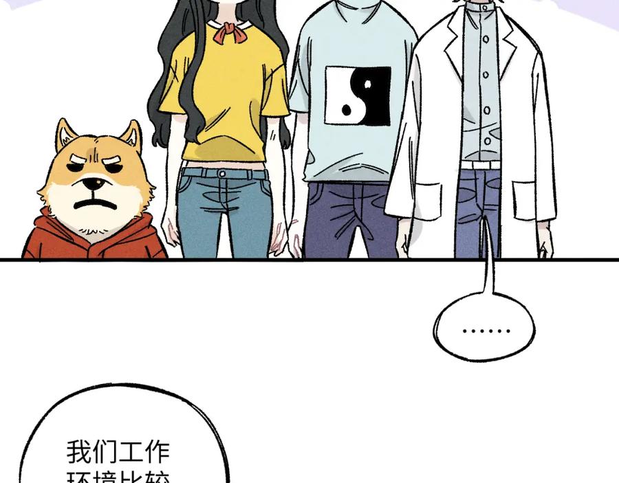 第251页