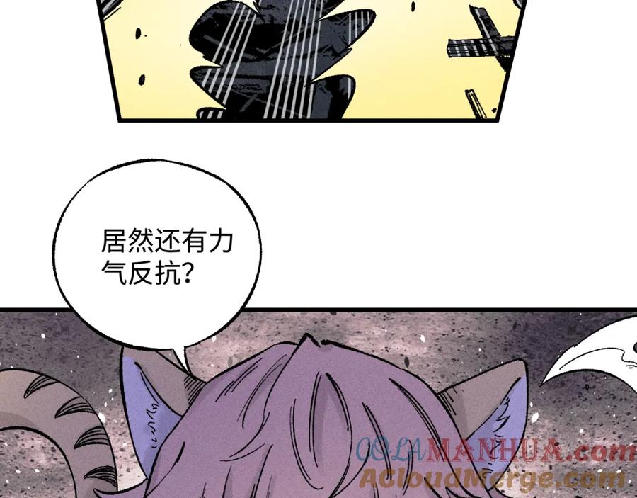 第206页