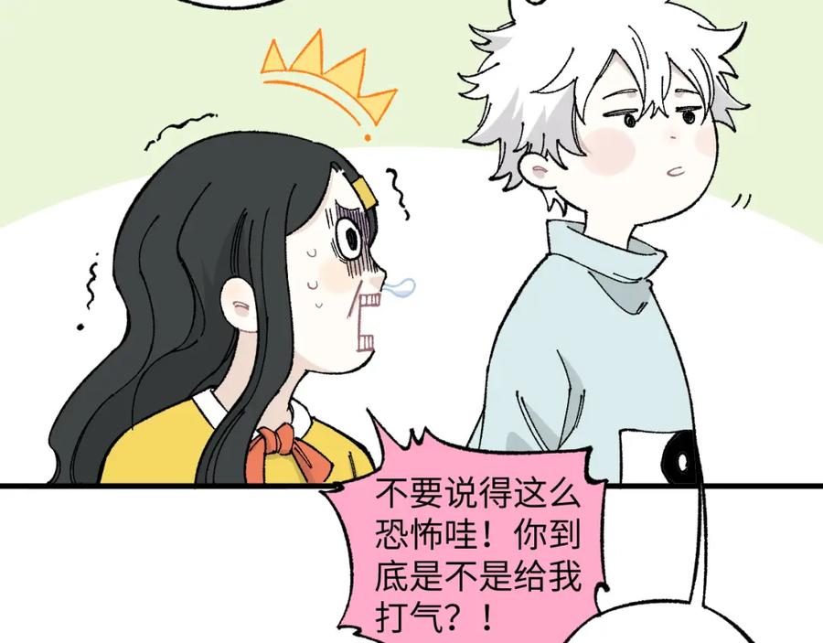 第213页