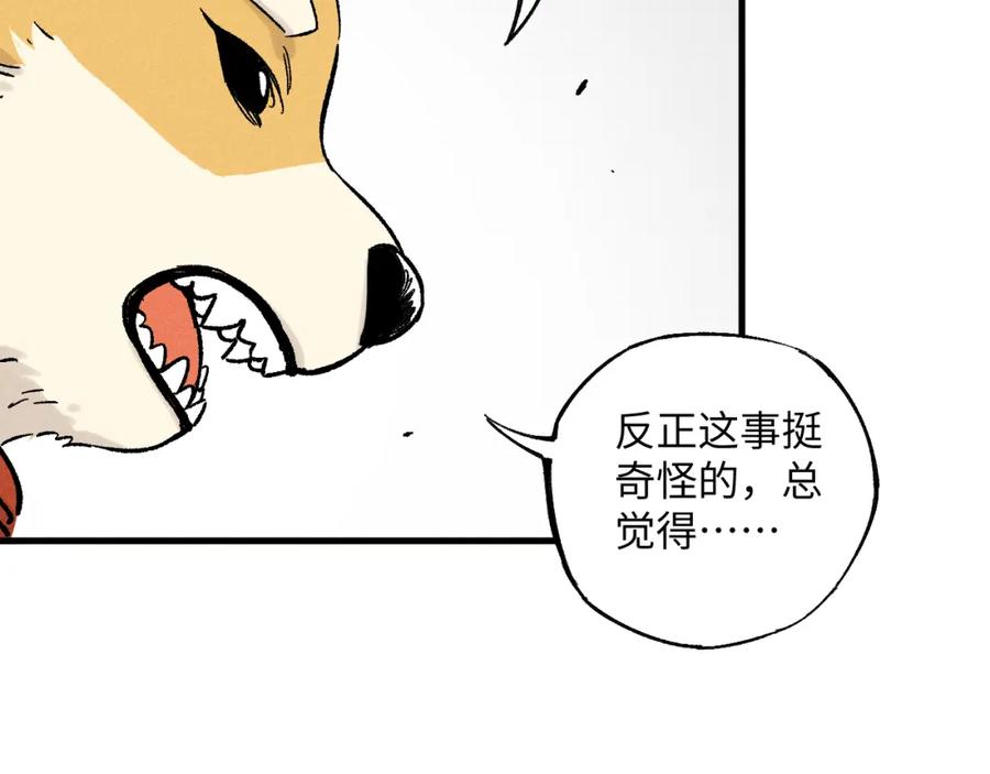 第240页