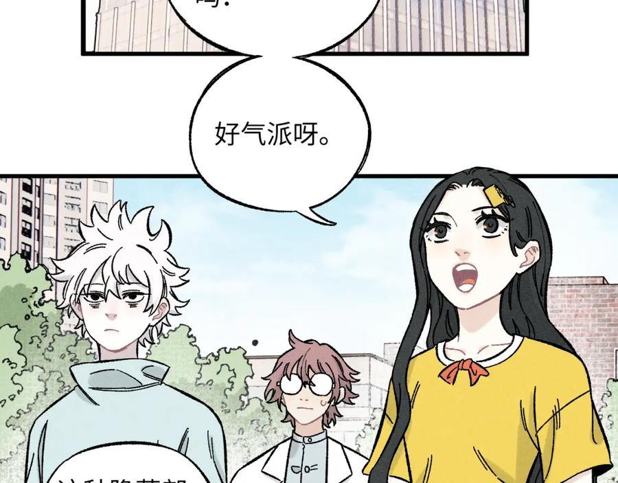 第207页