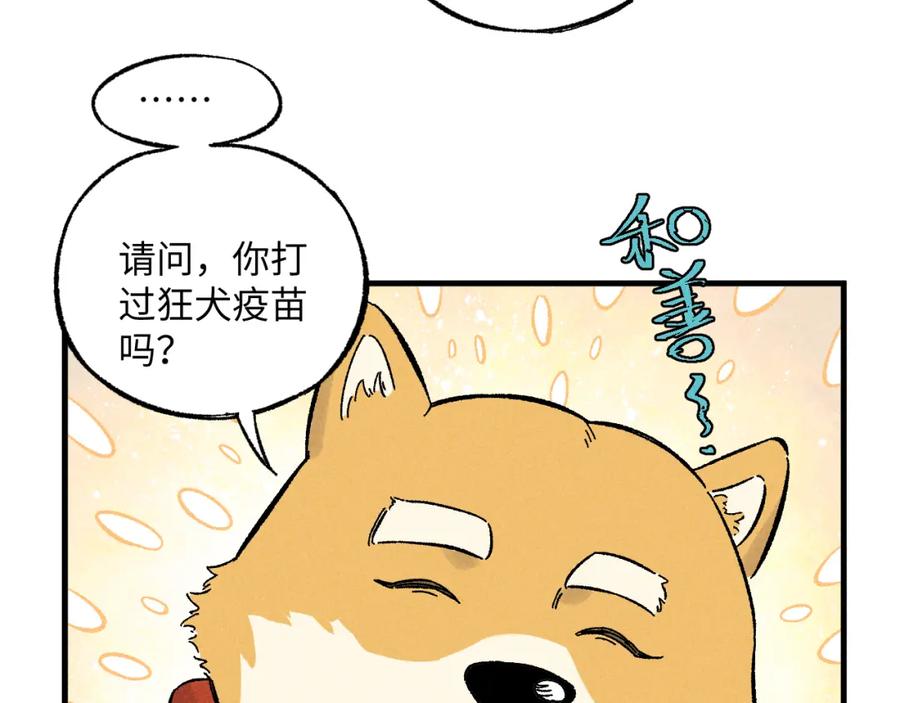 第282页