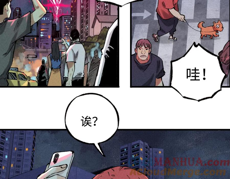 第243页