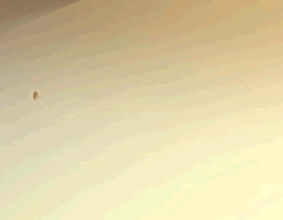 第155页
