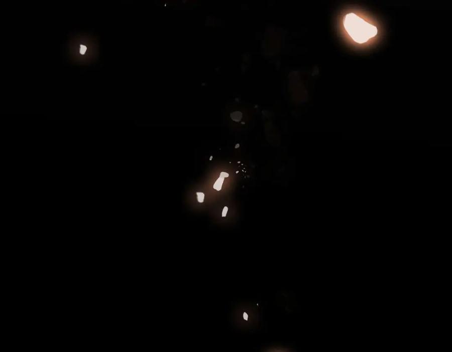 第184页
