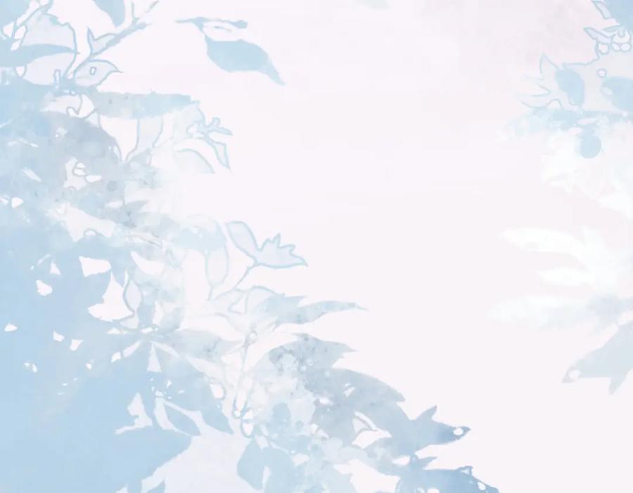 第184页