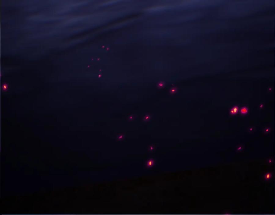 第55页