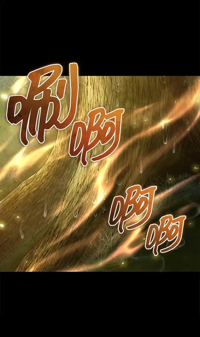 第260页