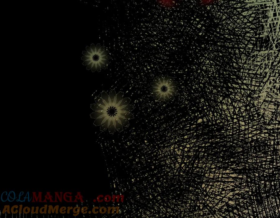 第209页