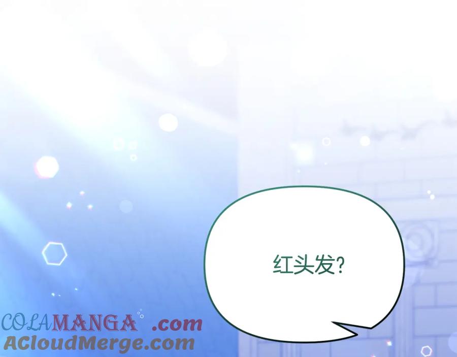 第221页