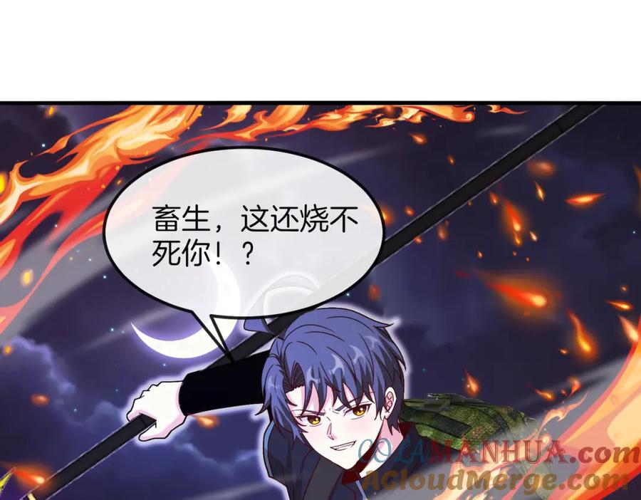 第117页