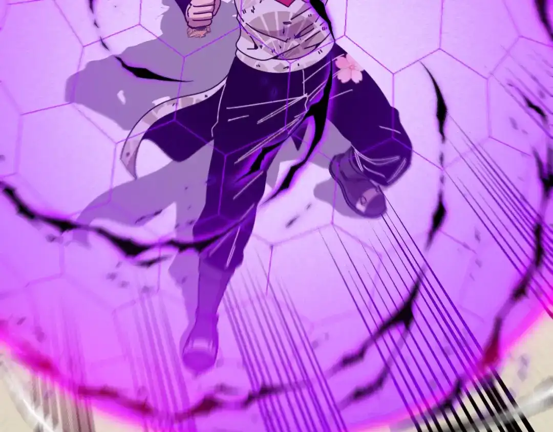 第204页