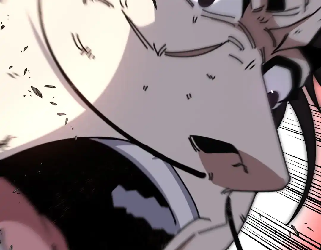 第214页