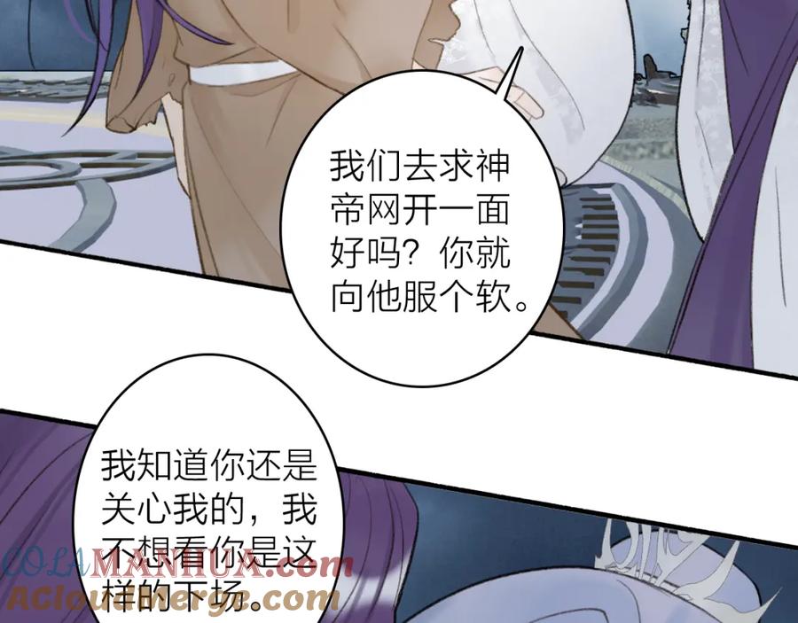 第242页