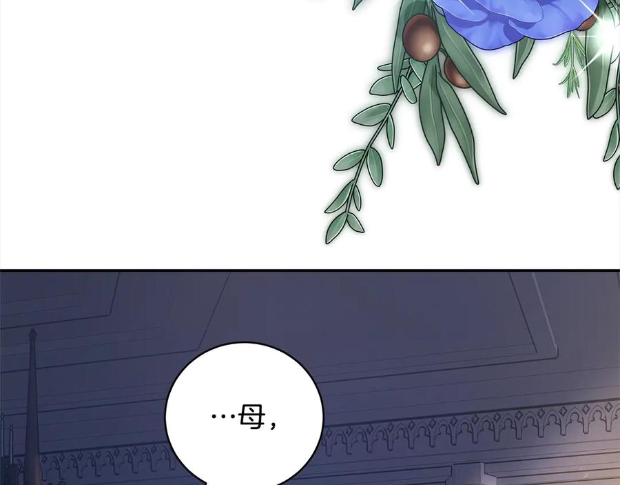 第250页