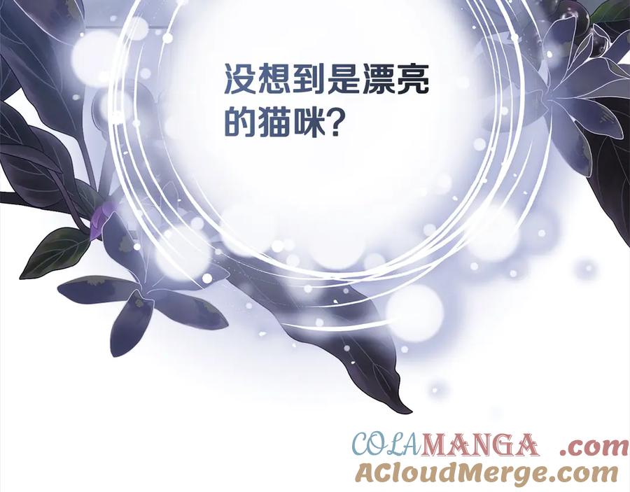 第241页
