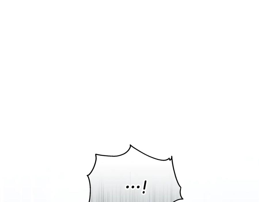 第256页